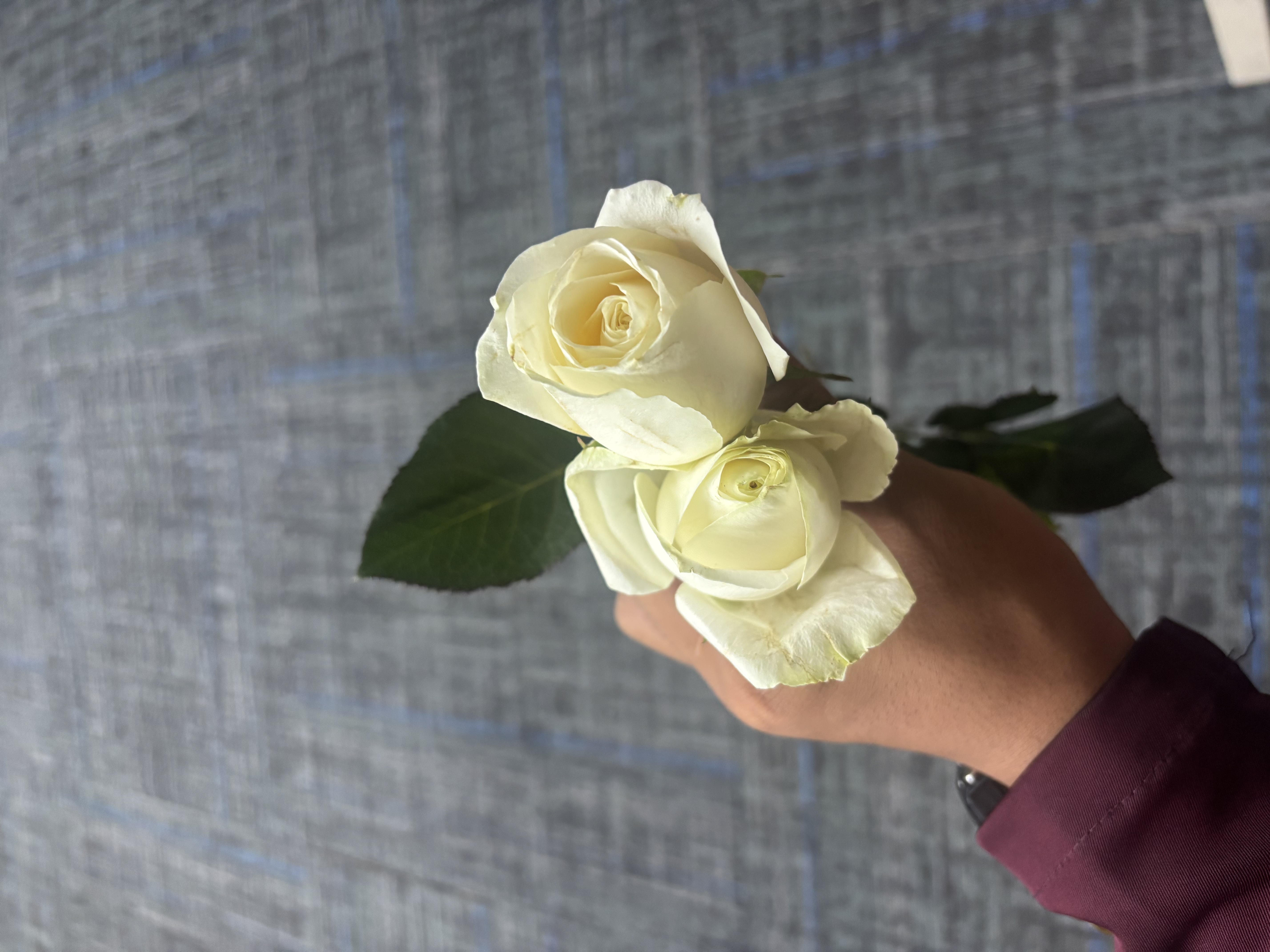 Galleryede